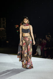 Dianthus Sharara set