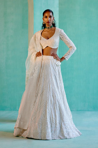 Stella Lehenga set