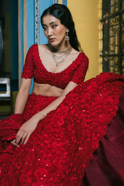 Lilian Lehenga set