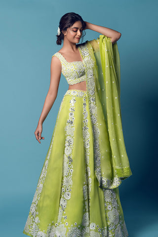 Dahlia Lehenga set