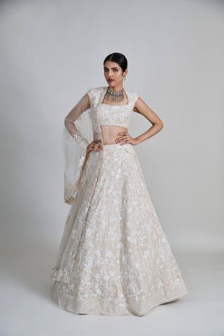 Emma Lehenga Set
