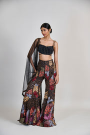 Dianthus Sharara set