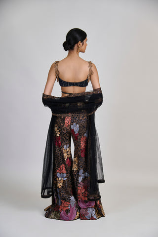 Dianthus Sharara set