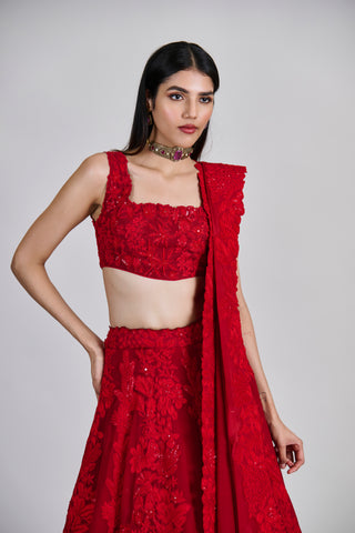 Roselle Lehenga set