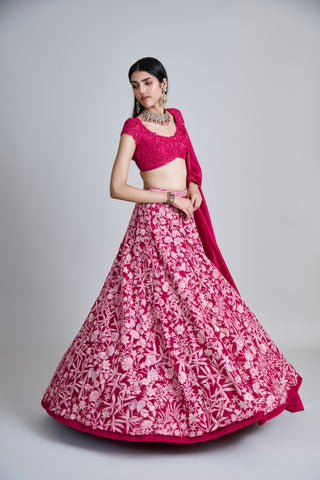 Celia Lehenga set