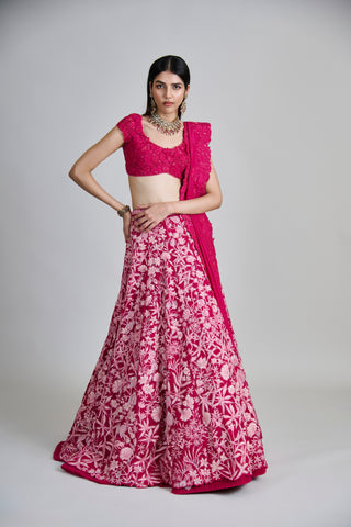 Celia Lehenga set