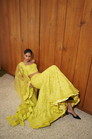 Maryse skirt set with dupatta