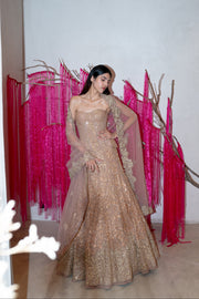 Trina Lehenga set