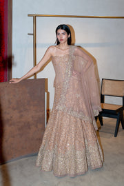 Trina Lehenga set