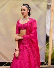 Novae Lehenga set