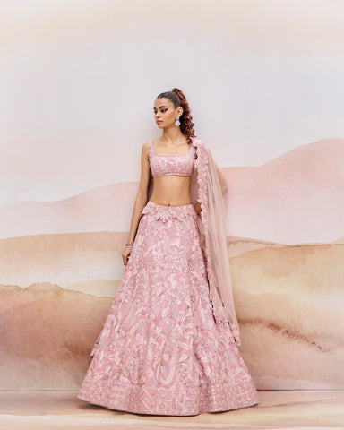 Rostrata Lehenga set