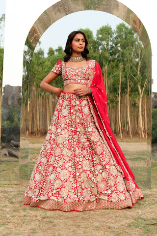 Red Ilaya Lehenga set