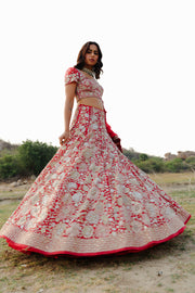 Red Ilaya Lehenga set