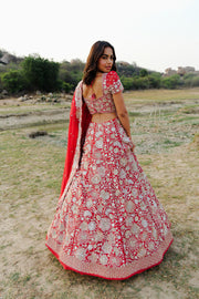 Red Ilaya Lehenga set