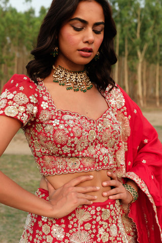 Red Ilaya Lehenga set