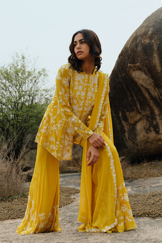 Yellow Lyra Kurta set