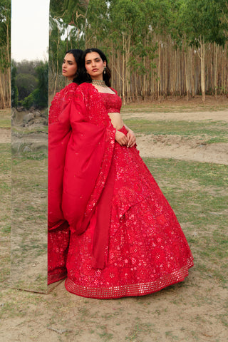 Red Eliza Lehenga set