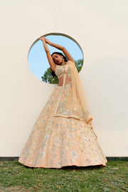 Peach Laila Lehenga set