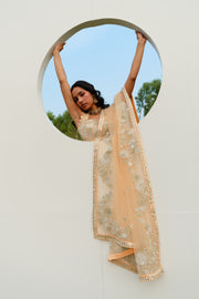 Peach Laila Lehenga set