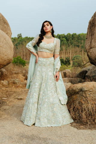 Mint Leola Lehenga set