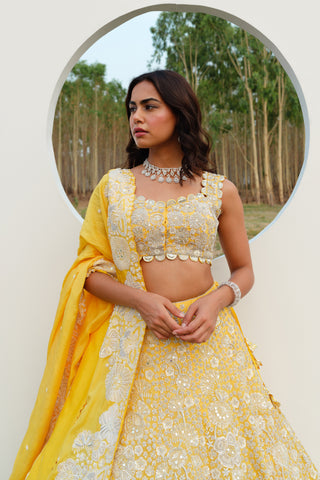 Yellow Lyana Lehenga set
