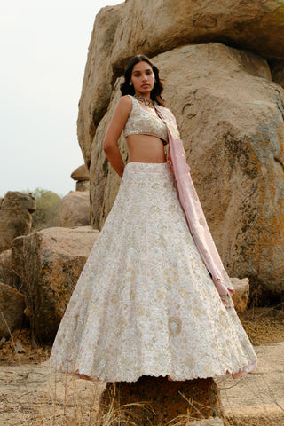 Champagne Pink Leola Lehenga