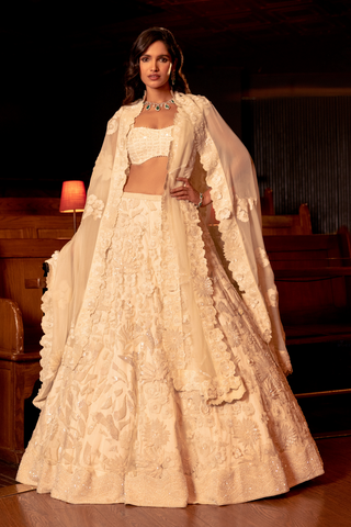 Daphene Lehenga