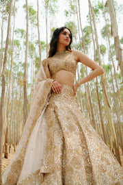 Bronze Ashi Lehenga set