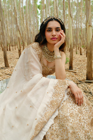 Bronze Ashi Lehenga set