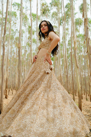 Bronze Ashi Lehenga set