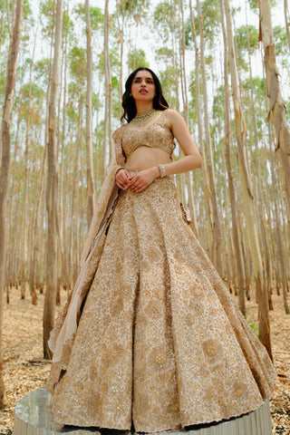 Bronze Ashi Lehenga set