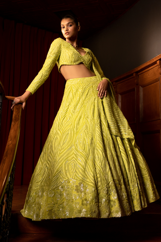 Stella Lehenga Set