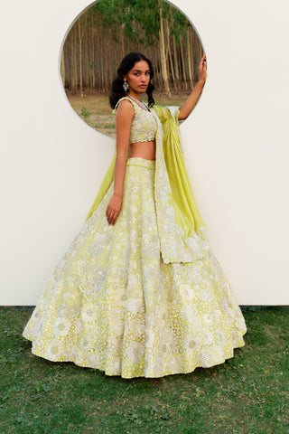 Green Layna Lehenga set