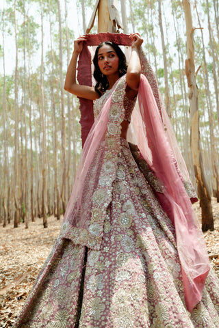 Muted Pink Leola Lehenga set