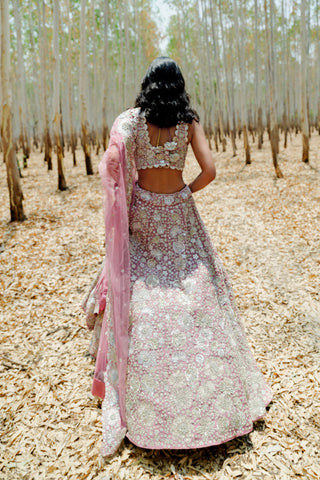 Muted Pink Leola Lehenga set