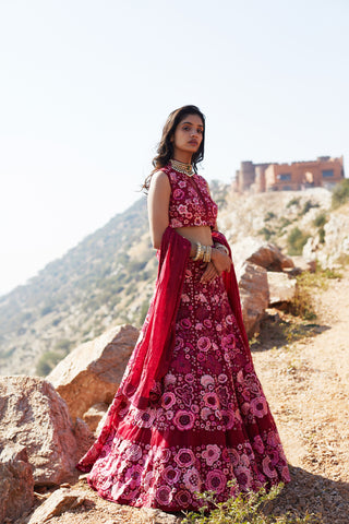 Aster Lehenga
