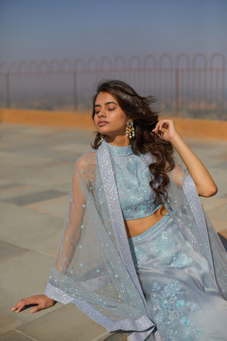 Cloudy Blue Precious Flowers Bunches Lehenga