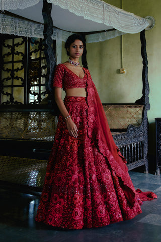 Red Aster Lehenga