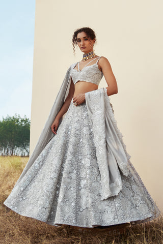 Isabella lehenga set