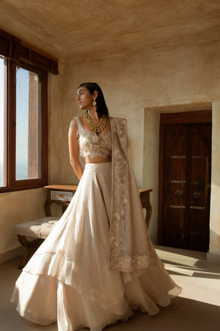 Precious Flowers 3D flowers lehenga set