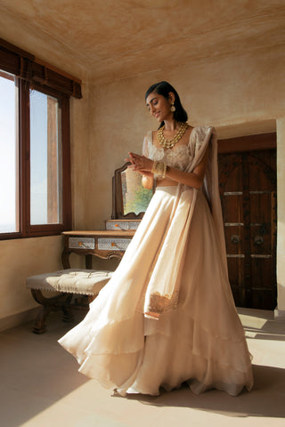 Precious Flowers 3D flowers lehenga set